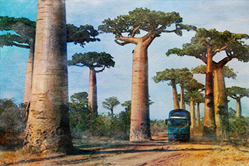 マダガスカルのイメージ